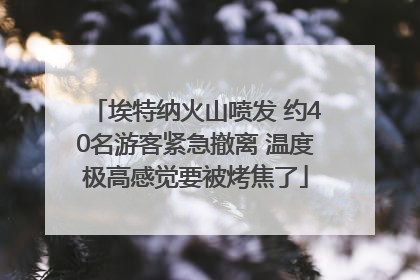 埃特纳火山喷发 约40名游客紧急撤离 温度极高感觉要被烤焦了