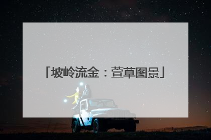 坡岭流金：萱草图景