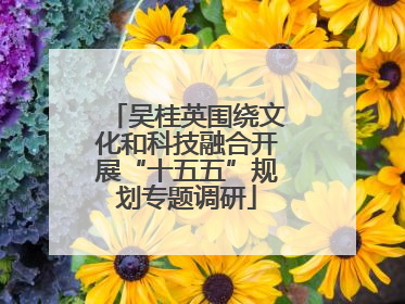 吴桂英围绕文化和科技融合开展“十五五”规划专题调研