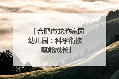 合肥市龙腾家园幼儿园：科学衔接 赋能成长