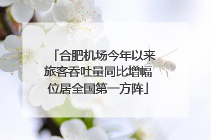 合肥机场今年以来旅客吞吐量同比增幅位居全国第一方阵