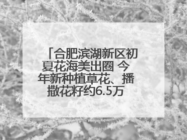 合肥滨湖新区初夏花海美出圈 今年新种植草花、播撒花籽约6.5万平方米