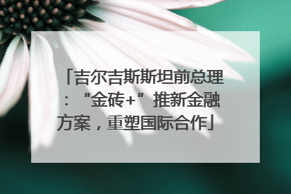 吉尔吉斯斯坦前总理：“金砖+”推新金融方案，重塑国际合作