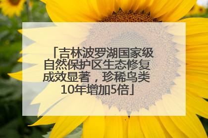 吉林波罗湖国家级自然保护区生态修复成效显著，珍稀鸟类10年增加5倍