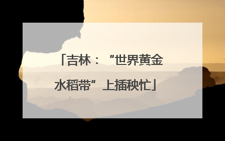 吉林：“世界黄金水稻带”上插秧忙
