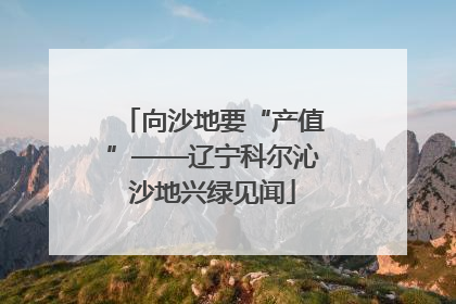 向沙地要“产值”——辽宁科尔沁沙地兴绿见闻