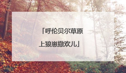 呼伦贝尔草原上狼崽撒欢儿