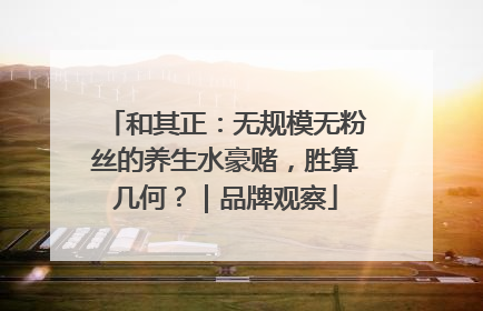 和其正：无规模无粉丝的养生水豪赌，胜算几何？｜品牌观察