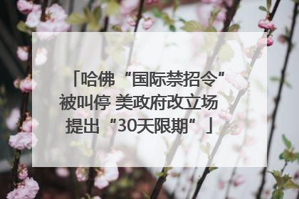 哈佛“国际禁招令”被叫停 美政府改立场提出“30天限期”