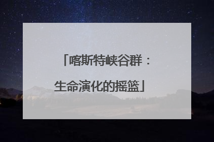 喀斯特峡谷群：生命演化的摇篮