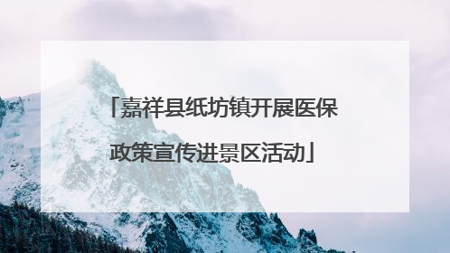 嘉祥县纸坊镇开展医保政策宣传进景区活动