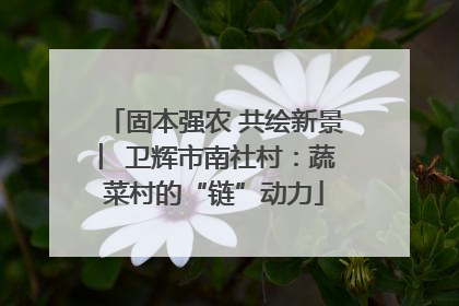 固本强农 共绘新景 ︳卫辉市南社村：蔬菜村的“链”动力