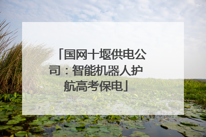 国网十堰供电公司：智能机器人护航高考保电