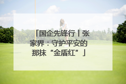 国企先锋行丨张家界：守护平安的那抹“金盾红”