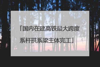 国内在建高铁最大跨度系杆拱系梁主体完工