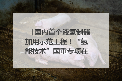 国内首个液氢制储加用示范工程！“氢能技术”国重专项在四川南充启动｜打赢经济发展翻身仗
