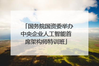 国务院国资委举办中央企业人工智能首席架构师特训班