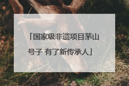 国家级非遗项目茅山号子 有了新传承人