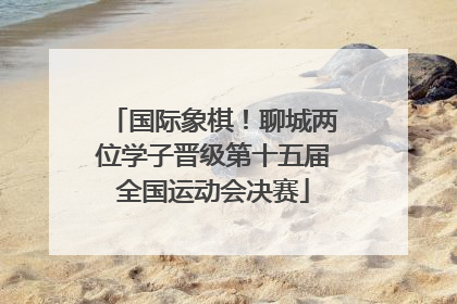国际象棋！聊城两位学子晋级第十五届全国运动会决赛