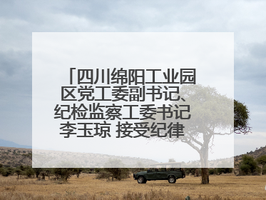 四川绵阳工业园区党工委副书记、纪检监察工委书记李玉琼 接受纪律审查和监察调查