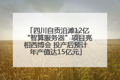 四川自贡沿滩12亿“智算服务器”项目亮相西博会 投产后预计年产值达15亿元