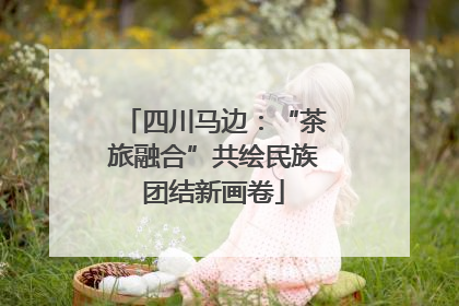 四川马边：“茶旅融合”共绘民族团结新画卷