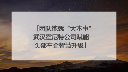 团队练就“大本事” 武汉霍尼特公司赋能头部车企智慧升级