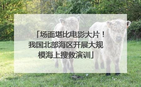 场面堪比电影大片！我国北部海区开展大规模海上搜救演训