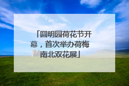 圆明园荷花节开幕，首次举办荷梅南北双花展