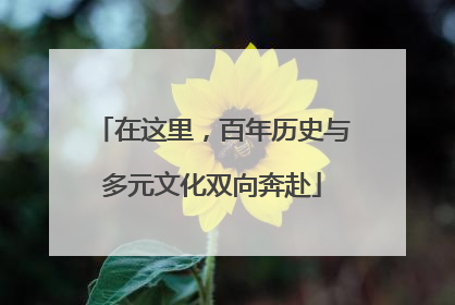 在这里，百年历史与多元文化双向奔赴