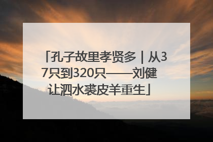 孔子故里孝贤多｜从37只到320只——刘健让泗水裘皮羊重生