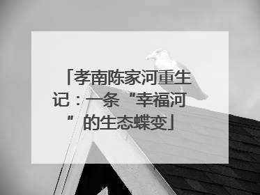孝南陈家河重生记：一条“幸福河”的生态蝶变