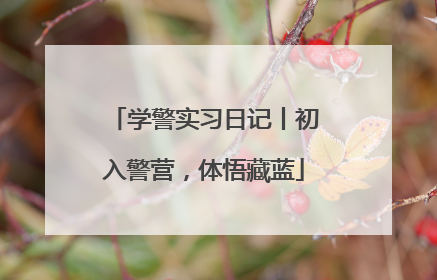 学警实习日记丨初入警营，体悟藏蓝
