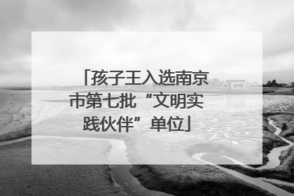 孩子王入选南京市第七批“文明实践伙伴”单位