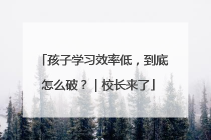 孩子学习效率低，到底怎么破？｜校长来了
