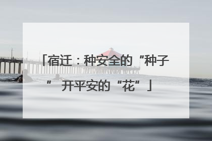 宿迁：种安全的“种子” 开平安的“花”