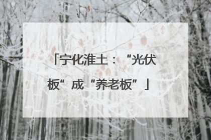 宁化淮土：“光伏板”成“养老板”