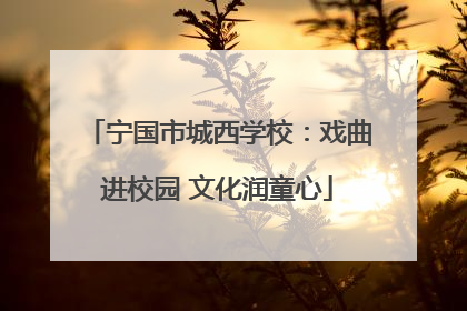 宁国市城西学校：戏曲进校园 文化润童心