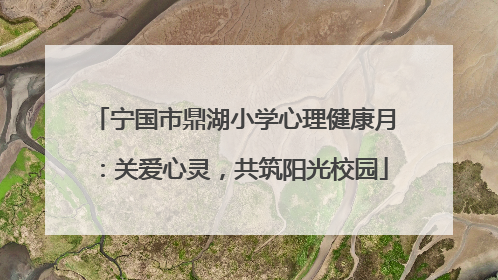 宁国市鼎湖小学心理健康月：关爱心灵，共筑阳光校园