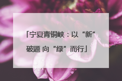 宁夏青铜峡：以“新”破题 向“绿”而行