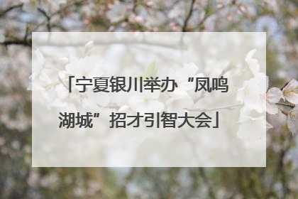 宁夏银川举办“凤鸣湖城”招才引智大会