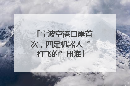 宁波空港口岸首次，四足机器人“打飞的”出海