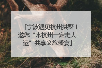 宁波遇见杭州拱墅！邀您“来杭州一定走大运”共享文旅盛宴