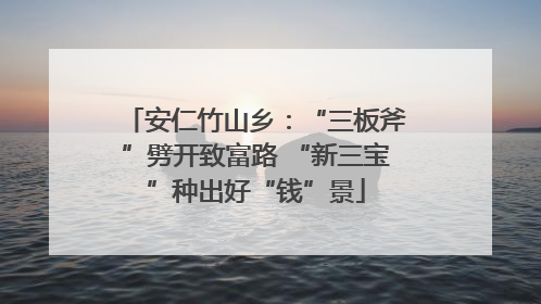 安仁竹山乡：“三板斧”劈开致富路 “新三宝”种出好“钱”景