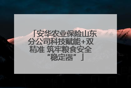 安华农业保险山东分公司科技赋能+双精准 筑牢粮食安全“稳定器”