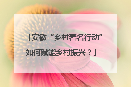 安徽“乡村著名行动”如何赋能乡村振兴？