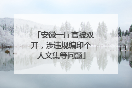 安徽一厅官被双开，涉违规编印个人文集等问题