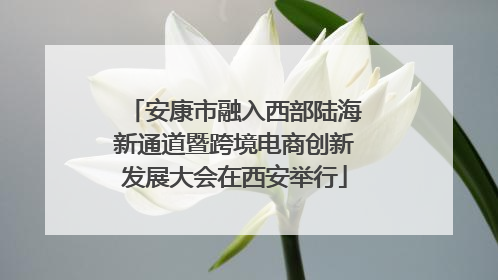 安康市融入西部陆海新通道暨跨境电商创新发展大会在西安举行
