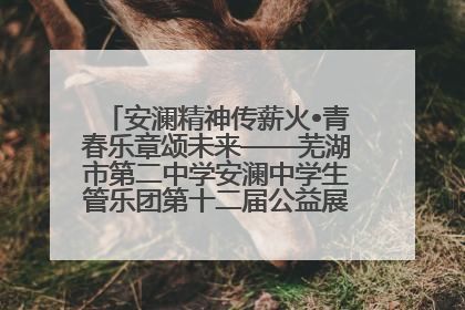 安澜精神传薪火•青春乐章颂未来——芜湖市第二中学安澜中学生管乐团第十二届公益展演圆满举行