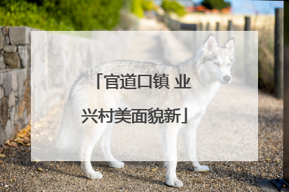 官道口镇 业兴村美面貌新